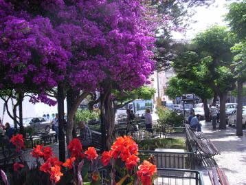 Sesimbra Town Square